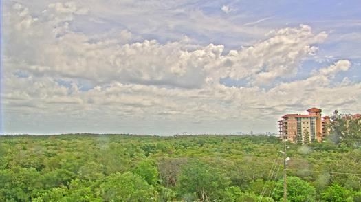 Weather camera view of WTSP-TV.