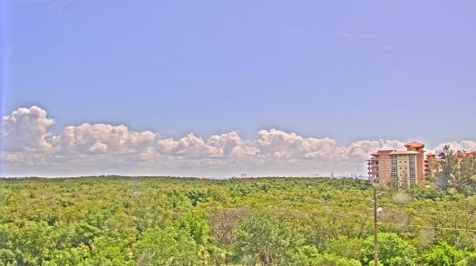 Weather camera view of WTSP-TV.