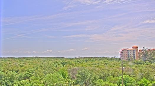 Weather camera view of WTSP-TV.