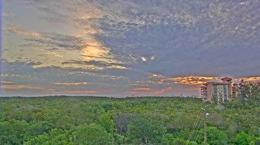 Weather camera view of WTSP-TV.