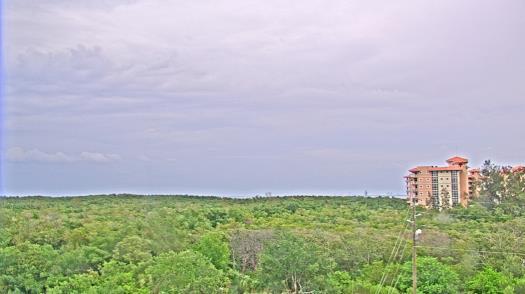 Weather camera view of WTSP-TV.