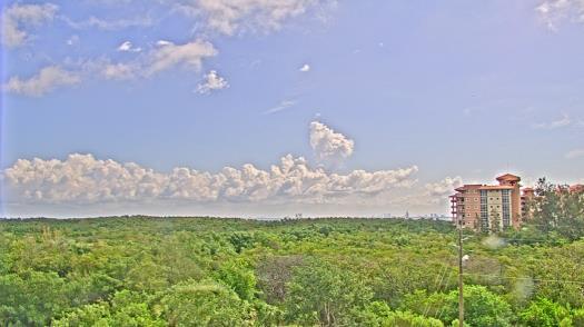 Weather camera view of WTSP-TV.