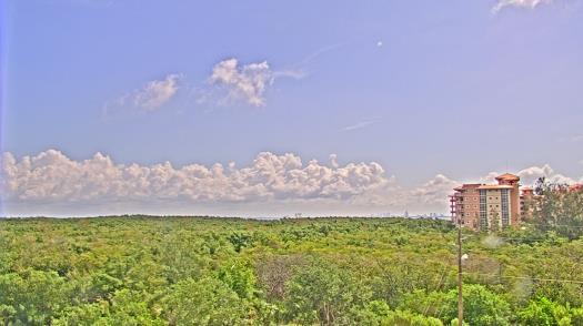 Weather camera view of WTSP-TV.