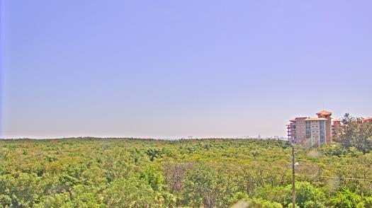 Weather camera view of WTSP-TV.