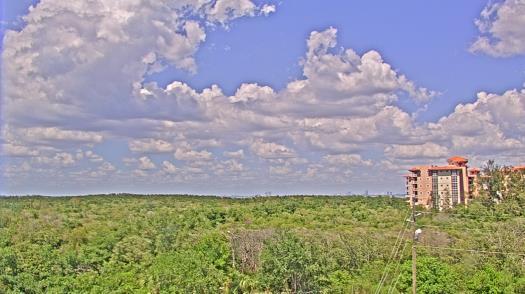 Weather camera view of WTSP-TV.