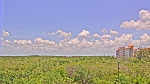 Weather camera view of WTSP-TV.