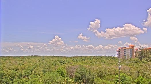 Weather camera view of WTSP-TV.