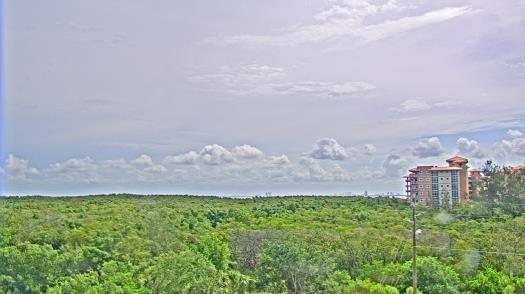 Weather camera view of WTSP-TV.