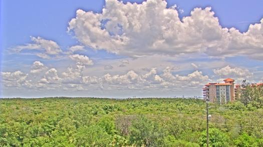 Weather camera view of WTSP-TV.
