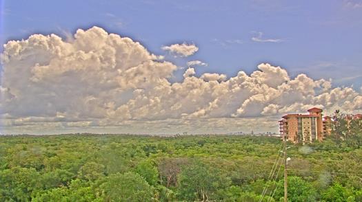 Weather camera view of WTSP-TV.