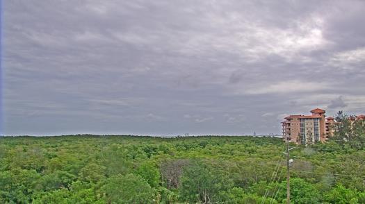 Weather camera view of WTSP-TV.