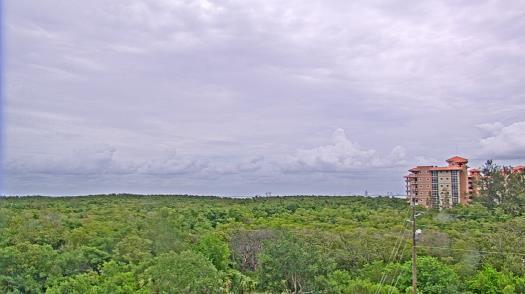 Weather camera view of WTSP-TV.