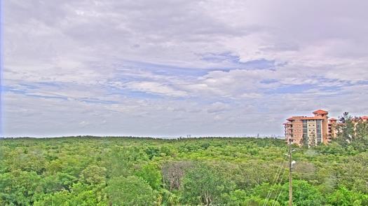Weather camera view of WTSP-TV.