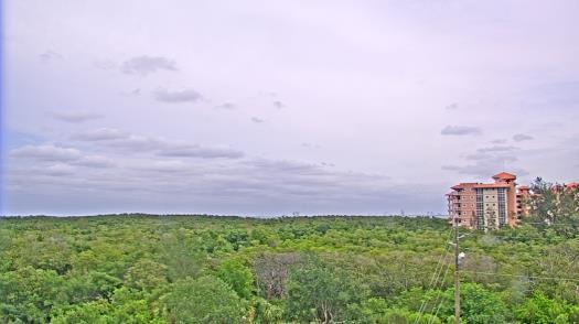 Weather camera view of WTSP-TV.