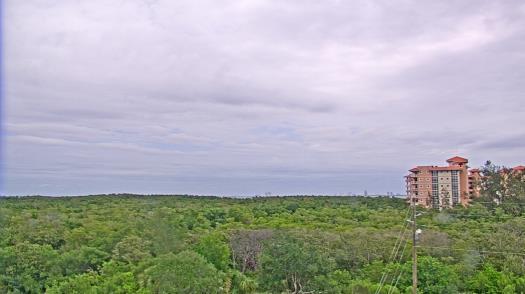 Weather camera view of WTSP-TV.
