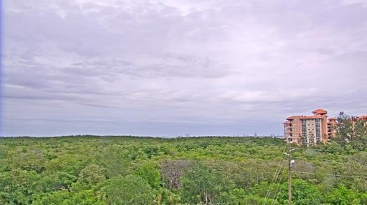 Weather camera view of WTSP-TV.