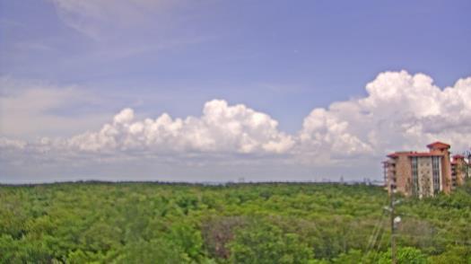 Weather camera view of WTSP-TV.