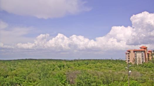 Weather camera view of WTSP-TV.