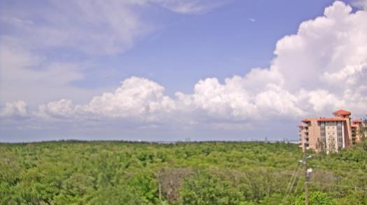 Weather camera view of WTSP-TV.