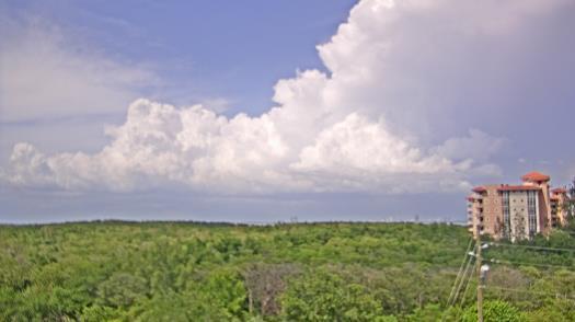 Weather camera view of WTSP-TV.