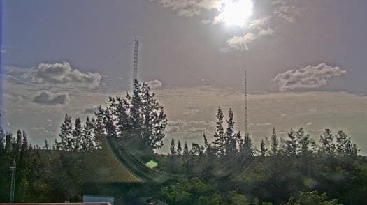 Weather camera view of WTSP-TV.