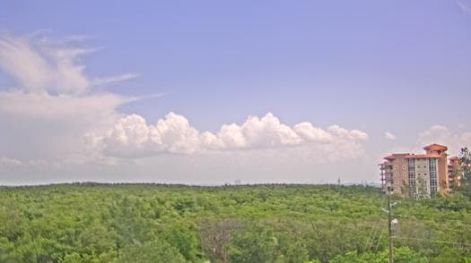 Weather camera view of WTSP-TV.