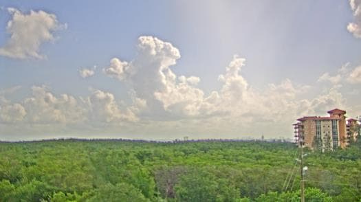 Weather camera view of WTSP-TV.