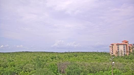 Weather camera view of WTSP-TV.