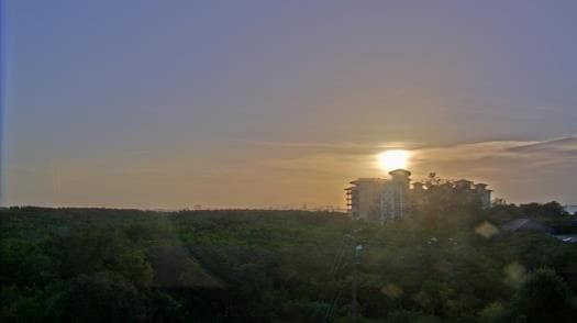 Weather camera view of WTSP-TV.
