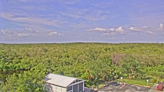 Weather camera view of WTSP-TV.