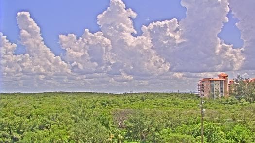 Weather camera view of WTSP-TV.