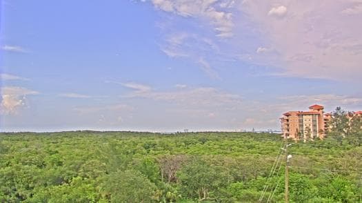 Weather camera view of WTSP-TV.