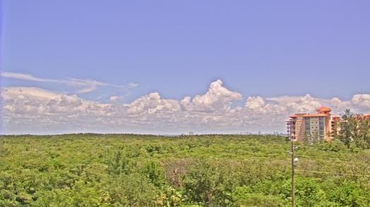 Weather camera view of WTSP-TV.