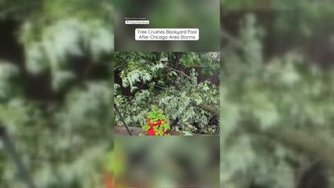 Downed Trees Damage Backyard Pool as Severe Weather Hits Chicago Area