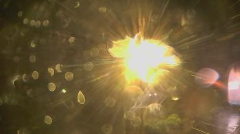 Weather camera view of Wishkah Valley School.