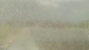 Weather camera view of Santa Fe HS.