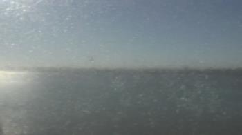 Weather camera view of SBPG Port Ship Service Arabi.