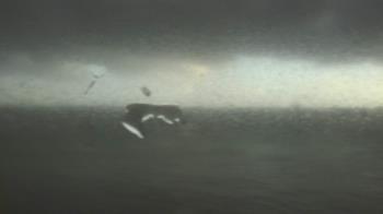 Weather camera view of SBPG Port Ship Service Arabi.