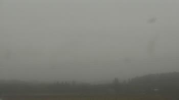 Weather camera view of City of Banks Public Library.