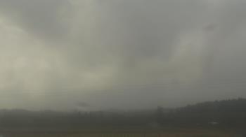 Weather camera view of City of Banks Public Library.