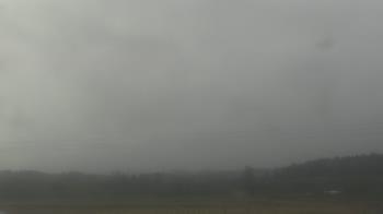 Weather camera view of City of Banks Public Library.