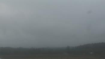 Weather camera view of City of Banks Public Library.