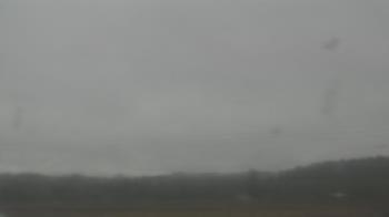 Weather camera view of City of Banks Public Library.