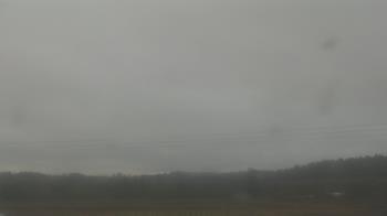 Weather camera view of City of Banks Public Library.