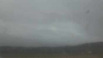 Weather camera view of City of Banks Public Library.