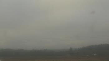 Weather camera view of City of Banks Public Library.