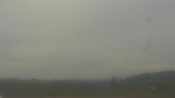 Weather camera view of City of Banks Public Library.