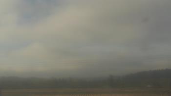 Weather camera view of City of Banks Public Library.