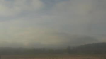 Weather camera view of City of Banks Public Library.