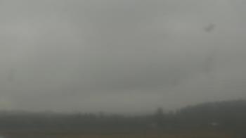 Weather camera view of City of Banks Public Library.